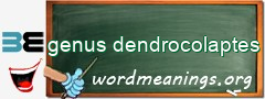 WordMeaning blackboard for genus dendrocolaptes